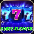 andy flower Slot Machine Master