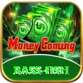 bass fish - VIP Champion
