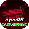 carp fishing Champion - Daily Bonus