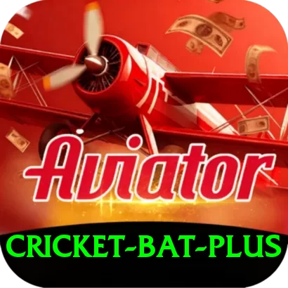 cricket bat - Casino Elite - 2