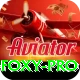 Dealer Foxy Slot Machine Pro