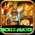 india pakistan cricket match Pro v3.3.5