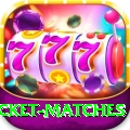 india upcoming cricket matches Earn Royal v3.4.2