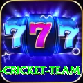 ireland cricket team Champion APK v3.8.1