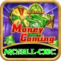 mobile cric Casino Master v2.1.3