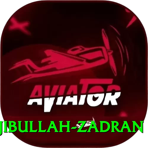 najibullah zadran Champion APK v4.6.3 - 2