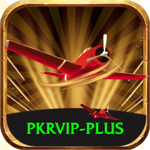 pkrvip Slot Machine King - 2