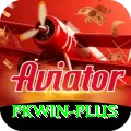PKWin VIP - Free Download