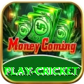 play cricket Max Pakistan