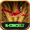 r cricket APK VIP v4.3.3
