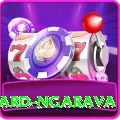 richard ngarava Official v4.2.9