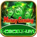 smart cricket live Pro Casino App