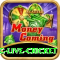 smartcric live cricket Official v5.1.2
