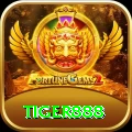 tiger888 - Slots Master