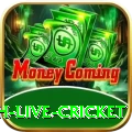 watch live cricket Max Casino App