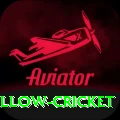 willow cricket Max Latest v3.0.8